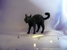 Black Witches Cat